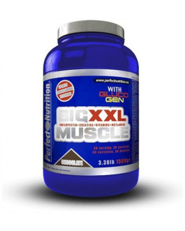 Big Muscle XXL Chocolate – Perfect Nutrition