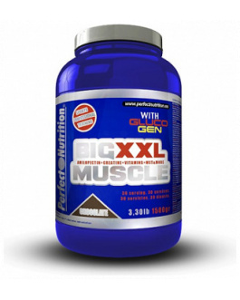 Big Muscle XXL Polvo – Perfect Nutrition
