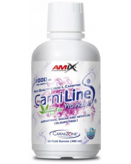 Carniline Pro Active 480 ml – Amix
