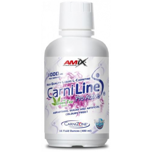 Carniline Pro Active 480 ml-Amix