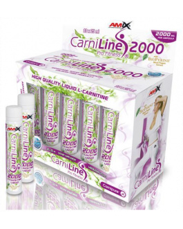 Carniline Pro Fitness 2000 1 Unidad 25 ml – Amix