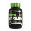 Tribulus Maximus 1500 Mg 90 gr-BiotechUSA